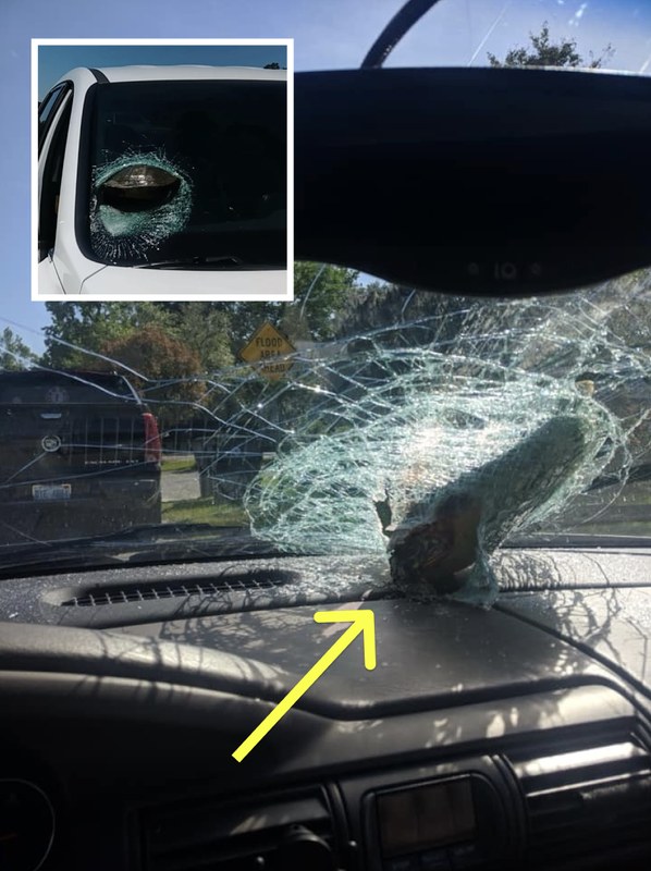 Woman Stunned After Realizing What Went Flying Across The Highway And Through Her Windshield. She Immediately Called 911