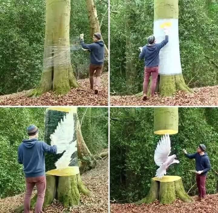 Amazing 3D Trunk Art by Howard Lee—Made Without Har.ming the Tree…