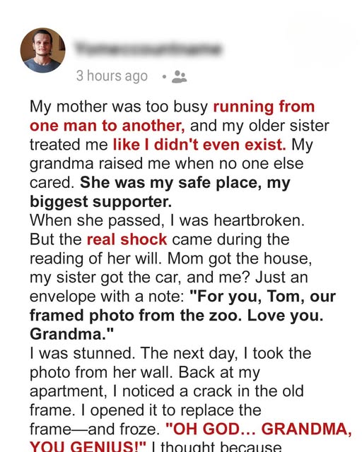 Grandma’s Final Surprise: The Hidden Treasure Behind a Simple Photo