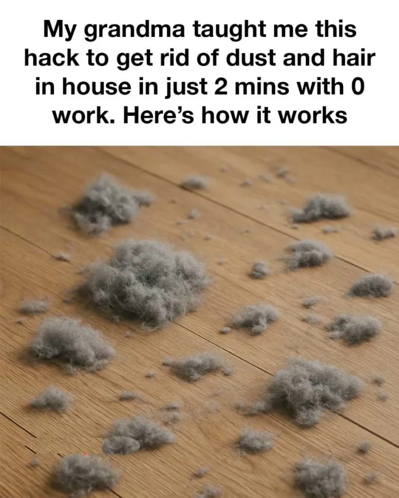 My grandma taught me this hack to get rid of dust and hair in house in just 2 mins with 0 work. Here’s how it works